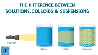 How to differentiate between solution colloid and suspension  Video you need to watch  chemistry [upl. by Nosaes]