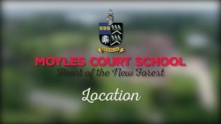 Moyles Court Schools superb location [upl. by Aisile]