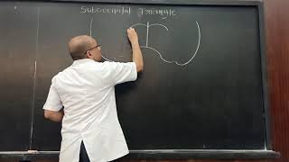 Suboccipital triangle Part I [upl. by Carlie374]