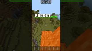 Minecraft Java Edition vs Pocket Edition shorts [upl. by Ayrotal]