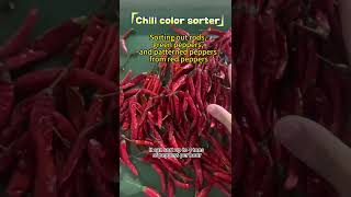 Chilli Peppers sorting，up to 4 tons per hour machine farmingcolor sorter [upl. by Assener]