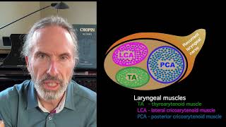 Visual Neurolaryngology  Part 1 Introduction [upl. by Rehposirhc]