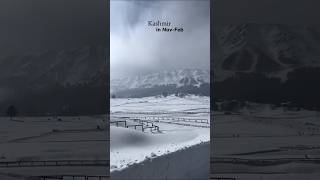 Kashmir in November  February video kashmir shortstravel youtubeshorts [upl. by Nerret]