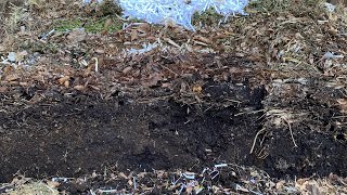 Checking in on the Compost with thestupidgardener4642 [upl. by Clementas]