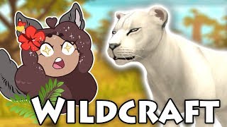 A Celestial White LIONESS Arrives 🐺 WildCraft • Starry Savannah • 4 [upl. by Jacklin]