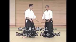 Aikido Shoji Nishio [upl. by Auberbach]