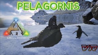 PELAGORNIS  ARK Survival Evolved [upl. by Ecnerol]