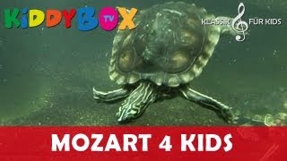 Mozart Bach Chopin  Klassik für Kinder  Schildkröten Zirkus KIDDYBOXTV [upl. by Eirroc906]