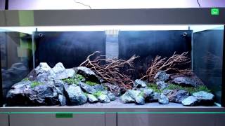 AQUASCAPE TUTORIAL  HOW TO  Spezial Sozial Escape [upl. by Enak212]