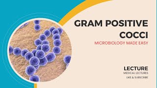 GramPositive Cocci Characteristics Identification and Clinical Significance [upl. by Donela]