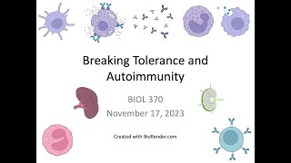 Immunology Fall 2023 Lecture 28 Breaking Tolerance [upl. by Ikairik]