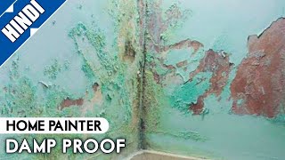 wall damp proof solution in asian paint smartcare how to repair damp wall [upl. by Macnair]