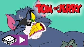 Tom amp Jerry  The New Tom  Boomerang UK [upl. by Gare]