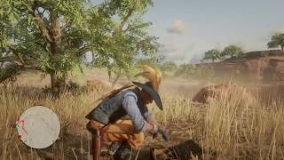 RDR2 Online Splintered Arrowhead  Hennigans Stead [upl. by Galang]