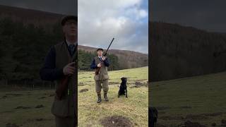 Driven Shooting Scotland Labrador Retriever Gundog Pegdog Shotgun [upl. by Attelocin]