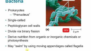 BIOL 2117 Chapter 1  The Microbial World and You [upl. by Donohue]