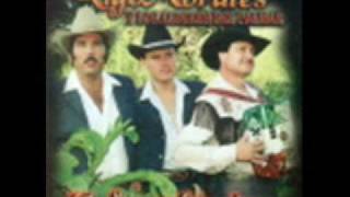 Rigo Morales y Los Alegres Del PalmarCanto A Mis Padres [upl. by Grayce]