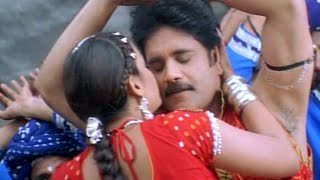 Goldrangu Video Song  Shivamani Telugu Movie  Nagrajuna Rakshita [upl. by Seraphine206]