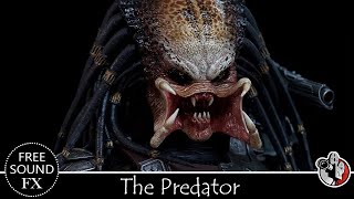 Predator Sound Effect [upl. by Yrreiht958]