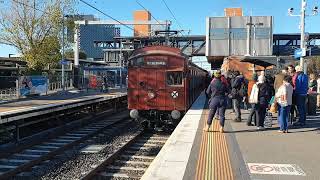 Steamrail Watergardens Steam amp Tait shuttles [upl. by Anekahs507]