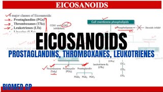 Eicosanoids Prostaglandins Thromboxanes and Leukotrienes [upl. by Aicek]