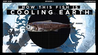 How this tiny Fish is Cooling our Planet [upl. by Jeremy]