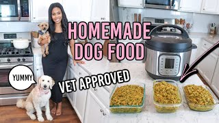 Homemade Dog Food Recipe Save Money and Keep Your Dog Healthy  Vet Approved [upl. by Epuladaug]