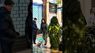 Fake Tree Prank 😮viral reel famus funny short shoorts youtube funny 😮 [upl. by Sadonia]