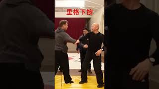 quotRedirect Control and Take Down SelfDefense Techniquesquot kungfutechniquechinna chinesekungfu [upl. by Adnawal]