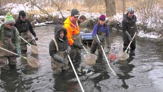 In the Field with Zoology 511 The Ecology of Fishes [upl. by Fredette]