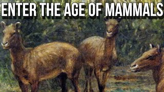 Dawn of the Age of Mammals [upl. by Decato843]