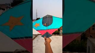 Kite looting by pipe 😱।। shorts loot kitelooting kite patang patangwala kitefestival [upl. by Chapman]