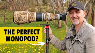 Monopod for WILDLIFE Photography iFootage Cobra 2 C180 II Field Review [upl. by Nahtahoj108]