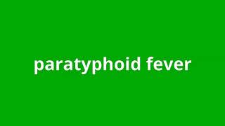 what is the meaning of paratyphoid fever [upl. by Eisus]