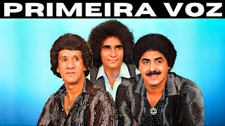 Fuscão Preto  Trio Parada Dura Musica Com Primeira Voz 1981 [upl. by Yurt]