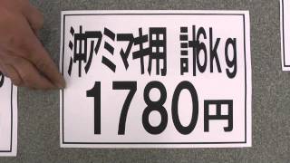 釣行費用を抑えるならアミエビを使おう！ [upl. by Eveneg]