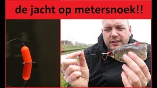 De jacht op de pb brekende metersnoek Deel 1 😁 [upl. by Frankhouse660]