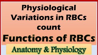 Variations in RBCs count  Blood part5  Functions of RBCs  hypoxia [upl. by Gotcher573]