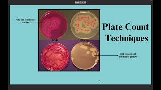 11 Detection and Determination of Bacillus cereus in water [upl. by Purington]