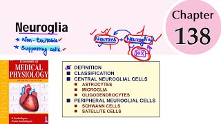 Neuroglia  Ch138  Neurophysiology  sembulingam physiology [upl. by Annail]