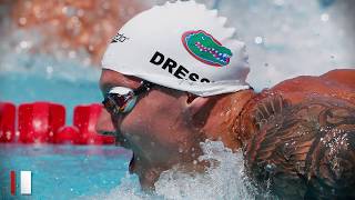 Caeleb Dressels 8 Medals Set SingleMeet Record at Worlds [upl. by Fortune]