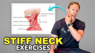 5 Exercises to Fix a Stiff Neck [upl. by Durward634]