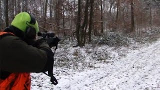 Polowanie zbiorowe  strzał do dzika  Vildsvinsjakt  Chassis Au Sanglier  Drückjagd [upl. by Yvonne]