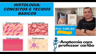 HISTOLOGIA  CONCEITOS E TECIDOS BÁSICOS [upl. by Ettenuahs]