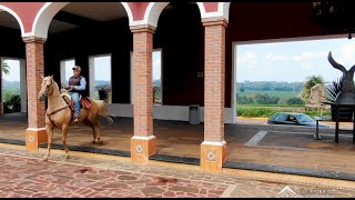 Rancho Tequilero Hacienda el Mexicano Mariachi Vargas [upl. by Corissa]