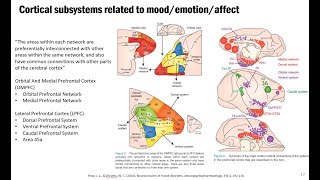 The limbic system and cognitiveemotional interaction  Multiscale Neuroscience Journal Cub [upl. by Aicnerolf]