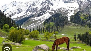 Pakistan Azad Kashmir place beautiful Kashmir place Kashmir Neelam valleytravel nature mountains [upl. by Elttil]