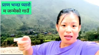 AJAKO SPECIAL VIDEO M JANMEKO HURKEKO GAU GHAR SOTA [upl. by Nareik]