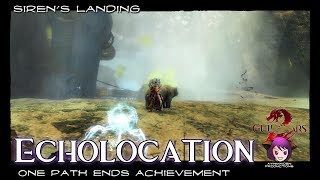 Guild Wars 2  Echolocation achievement [upl. by Aniral]