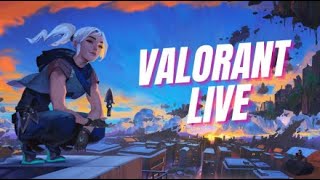 💀🛑Bronze To Gold  Close to Silver Rank Up Valorant Livestream facecam valorant livestreams🛑� [upl. by Esimaj]